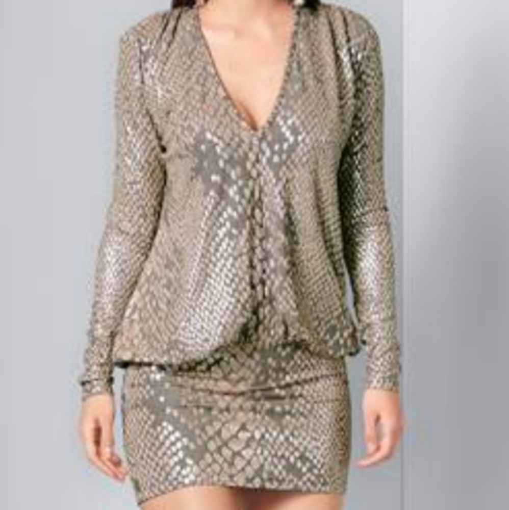 Metallic Dress